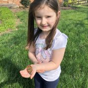 5-year-old girl holds butterfly in hand