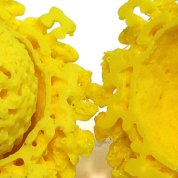 Scientific image yellow globe nestled within yellow nest