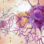 Scientific illustration of purple orb with branches extended with gold and blue squiggles floating alongside