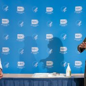 Fauci chats with Harris. 