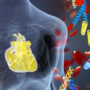 Illustration of torso/chest with heart and DNA fragments