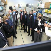 A group of masked Senators form a semi-circle around Mascola, who is holding up a 3-d printing of SARS-Cov-2 virus particle.