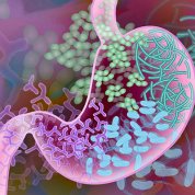 A big pink sack filled with colorful pellets, strands and y-shaped branches illustrate the different bacteria strains in the gut.