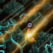 Scientific image of glowing green branches floating in a black background with two orange beams aimed at the red and blue tips. 