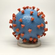 A model of the Covid spike protein: A large blue ball covered with protruding red spikes sits on a white base.