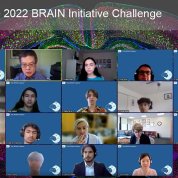 Screenshot of virtual meeting grid with multiple faces