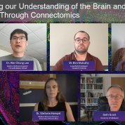 screenshot of virtual meeting grid of faces with names & titles underneath