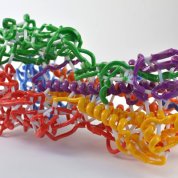 A 3D print of hemagglutinin. The colorful model has many curly lines that look like pipe cleaners.