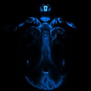 Blue skeleton of a tick on a black background