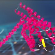 Protein over a computer network