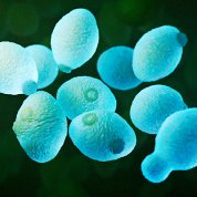 Light blue egg-shaped objects floating in a black background