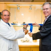 Gallin and Post in front of glass-enclosed mineral exhibit