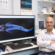 Computer screen displays the zebrafish image, with Weinstein and Castranova standing to the right of the screen.