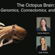 screenshot of presentation title slide with image of octopus on black background with headshots of four women speakers featured in the talk.