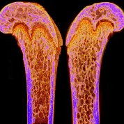 scientific illustration of two multi-color waves cresting in mirror images on black background
