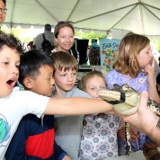 Excited child reaches out to pet alligator as others look on.