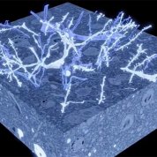 A large blue cube with many white wisps floating on top, against a black background