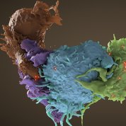 blobs of purple, blue and green against brown background