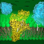 Rows of green balls surround yellow clusters with large blue swirls on each side