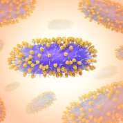 Illustration of Human Respiratory Syncytial Virus (RSV) colorized in Halloween-appropriate colors (the viral envelope is purple, G- glycoproteins are light blue, and F-glycoproteins are orange)