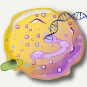 A yeloow blob dotted with pink circles and purple swirls, with a pen drawing a long DNA double helix from its center out onto the page