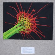 Artwork featuring a synapse