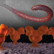 Large yellow blobs sit atop pink pebbles, with an eel-like swirl above, against grey background