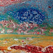 Scientific image resembling a landscape with a red pond in foreground and greenish mountain-like figures in the background and bluish skyline