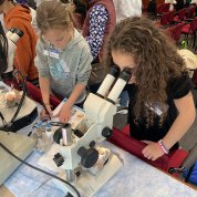 A girl looks into microscope as another takes notes.