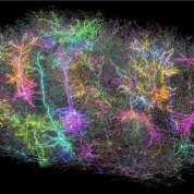 Swirls of many colors with colorful DNA strands running through