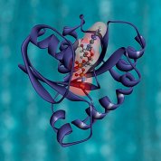 Purple squiggles surround a tube with small circles inside