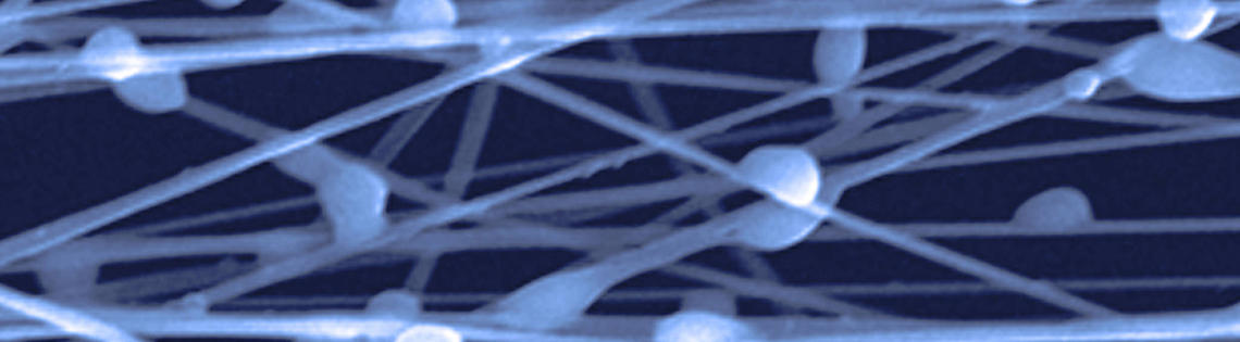 2-6-micrometer-thick microparticles attached to the 1-micrometer-thick microfibers.