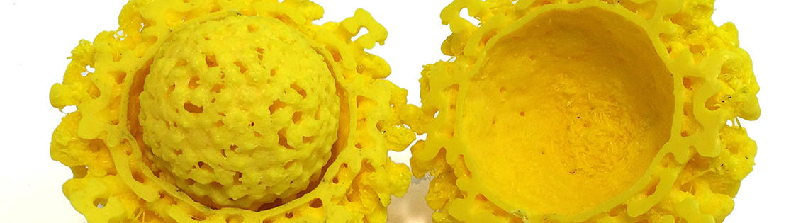 Scientific image yellow globe nestled within yellow nest