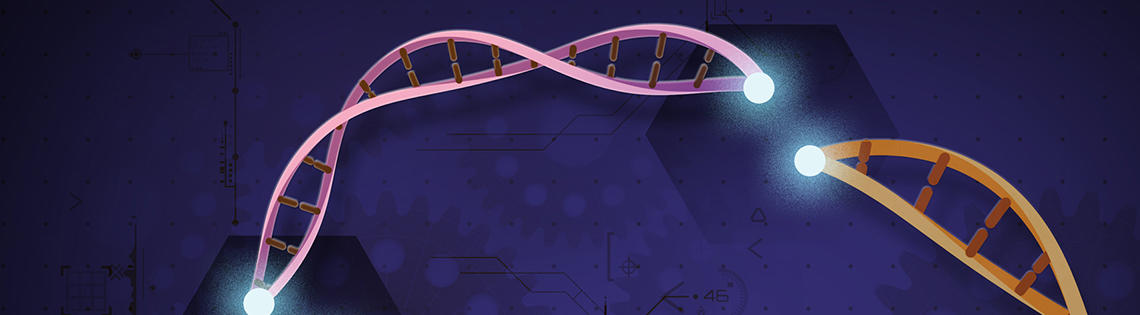 Pink twisted strands, the DNA double helix, with white dots on either side showing the insertions. Parts of 2 orange-colored DNA strands flank either side, along with a bright dot at the end showing DNA editing.