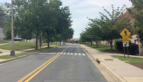 Campus road showing current painted crosswalk 