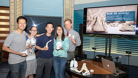 NLM employees show anatomical models.