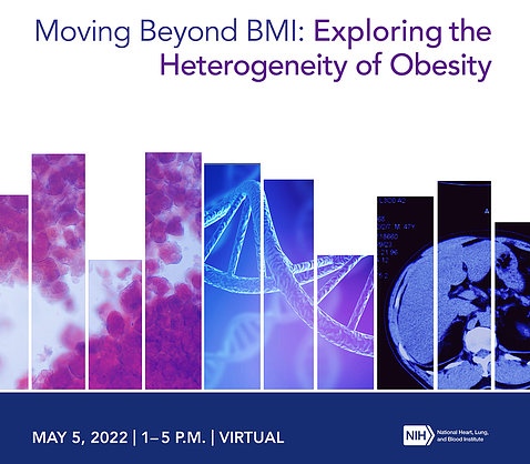 A poster with lecture title: Beyond BMI: Exploring the heterogeneity of obesity" with images of purple cells, double helix and brain scan. 