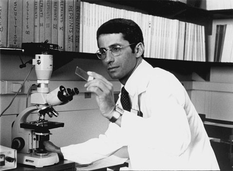 A black-and-white photo from 1984 of Fauci in his lab, standing by a microscope, peering at a slide he's holding.