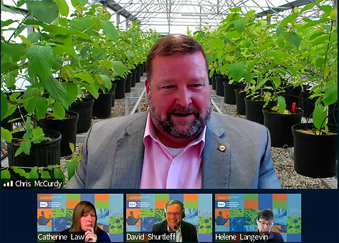 Screenshot of McCurdy sitting in greenhouse with kratom growing behind him, with 3 NIH'ers set to moderate, participate in Q&A