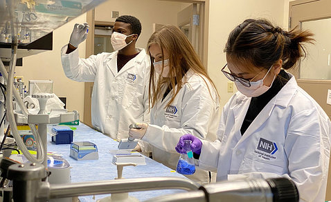 Three trainees in white lab coats work with samples in the bioengineering lab; one holds beaker of blue liquid and another is peering at a vial