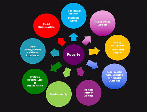 A slide shows poverty in a circle at the center with arrows pointing from poverty to 9 other circles, including: racial discrimination, unstable housing, poor mental health, neighborhood violence, poor prenatal care, food insecurity and abuse/neglect.