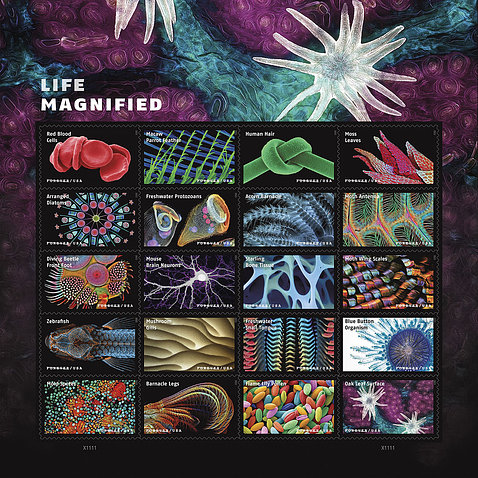 A page of 20 stamps featuring microscopy images.