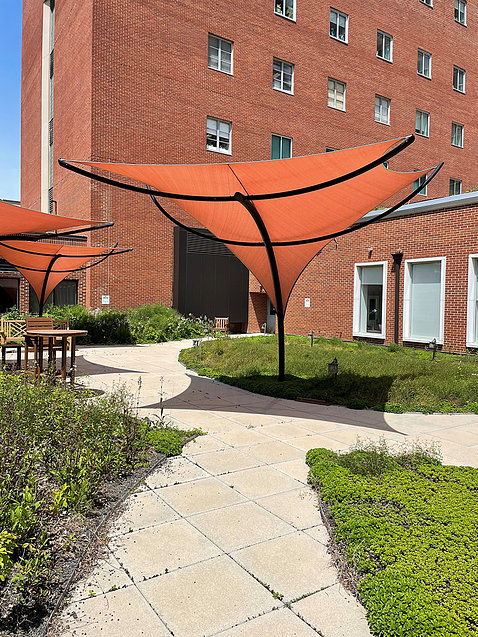 The library's patio featuring a sun sail and a garden