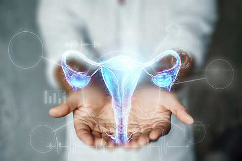 Cupped hands display a floating blue and purple model of the female reproductive tract