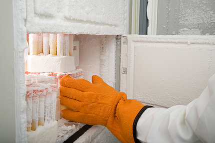 A person wearing orange gloves reaches into a fridge