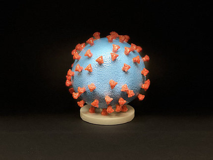 3D print of a SARS-CoV-2—also known as 2019-nCoV, the virus that causes COVID-19—virus particle.