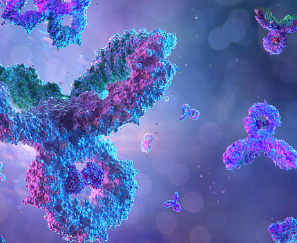 Purple and blue antigens float 