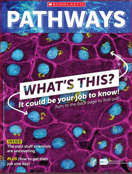 Cover graphic shows human epithelial cells (blue) surrounding by purple lining, with the title Pathways