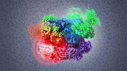 A colorful illustration of a molecule