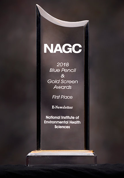 The NAGC Blue Pencil & Gold Screen First Place award